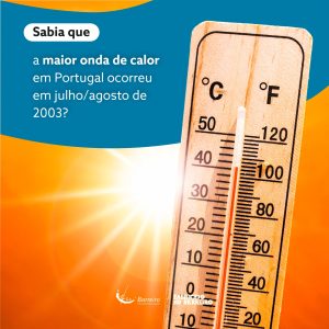 A maior inda de calor em Portugal ocorreu em julho/agosto de 2003?
