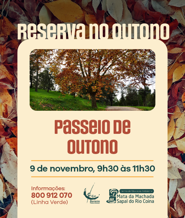 “Passeio de Outono” | 9 novembro | CEA – Centro de Educação Ambiental da Mata Nacional da Machada