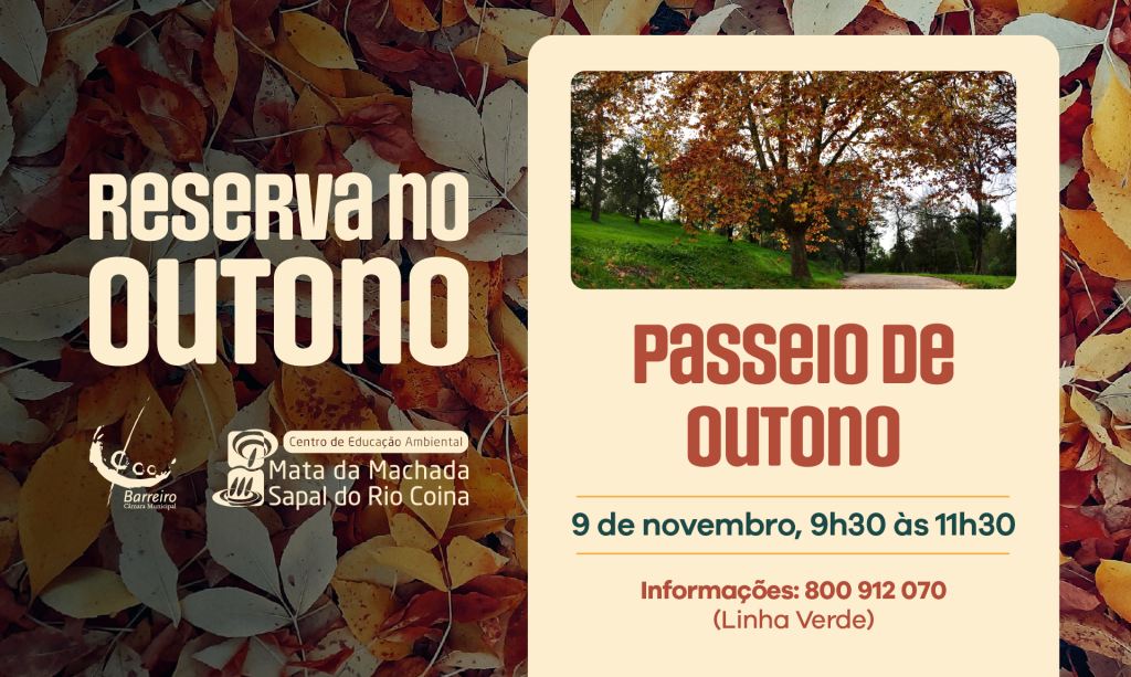 “Passeio de Outono” | 9 novembro | CEA – Centro de Educação Ambiental da Mata Nacional da Machada