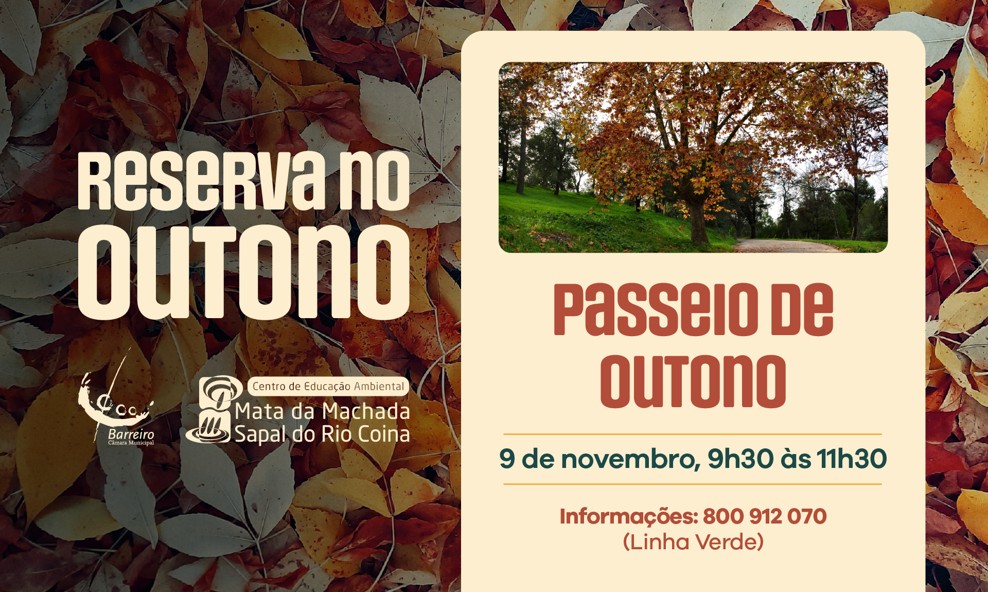 “Passeio de Outono” | 9 novembro | CEA – Centro de Educação Ambiental da Mata Nacional da...