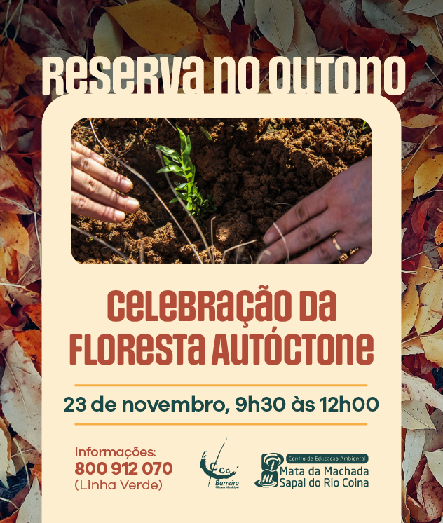 Celebração da Floresta Autóctone dia 23/11/24 no CEA