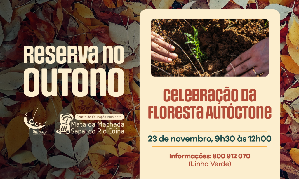 Celebração da Floresta Autóctone dia 23/11/24 no CEA