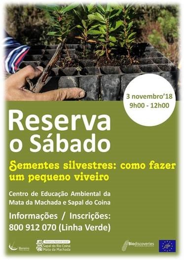 Sementes silvestres: como fazer um pequeno viveiro | Reserva o Sábado